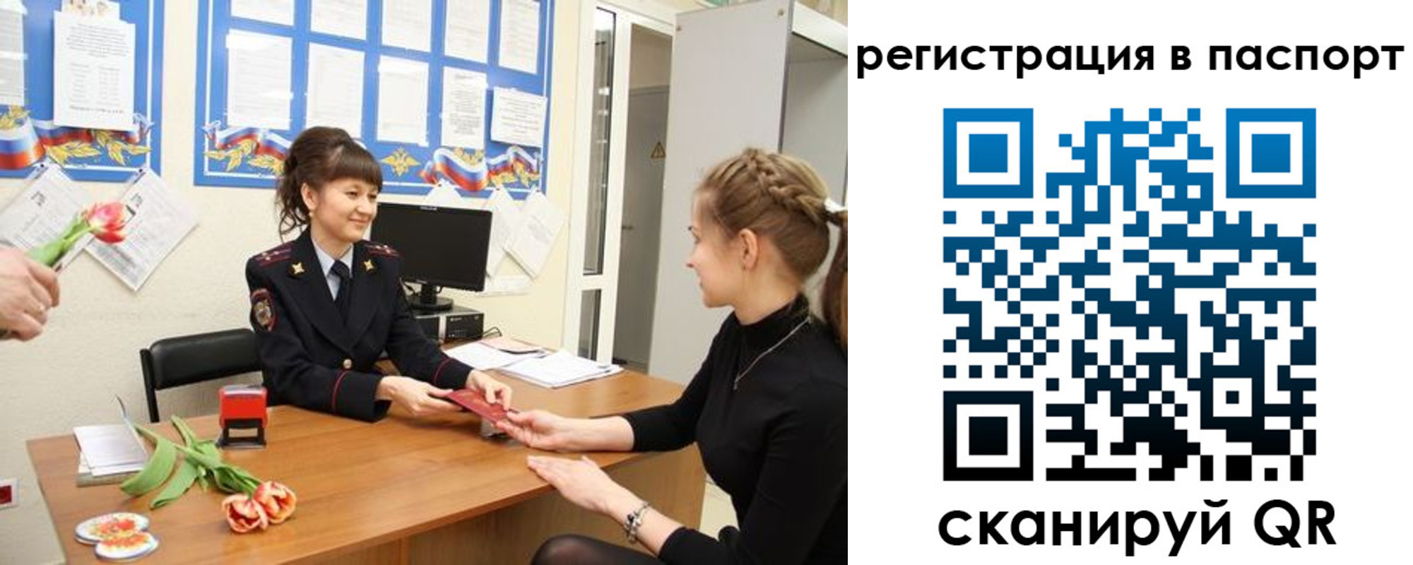 прописка гарантия в Мурманске